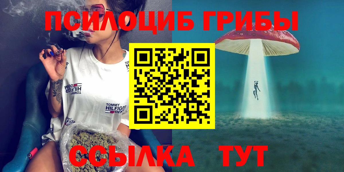 Псилоцибиновые грибы MAGIC MUSHROOMS  Вход с VPN  магазин  наркотиков  Зеленокумск 